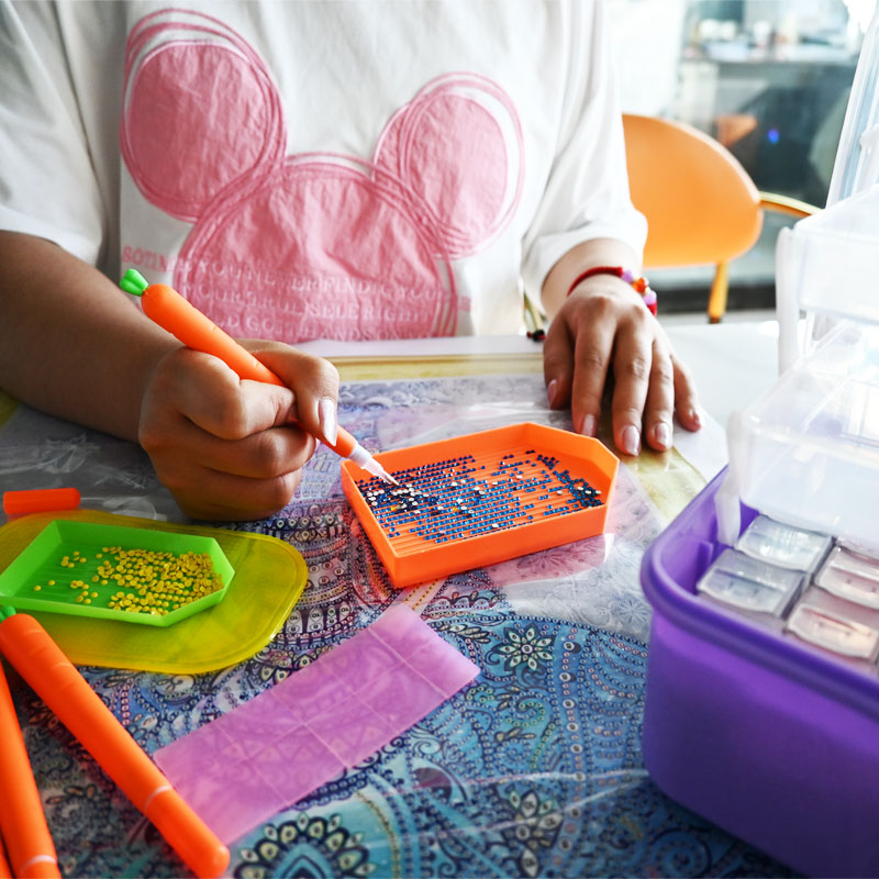 Strumenti di ricamo diamante p - Embroidery Bag recensione e prezzo